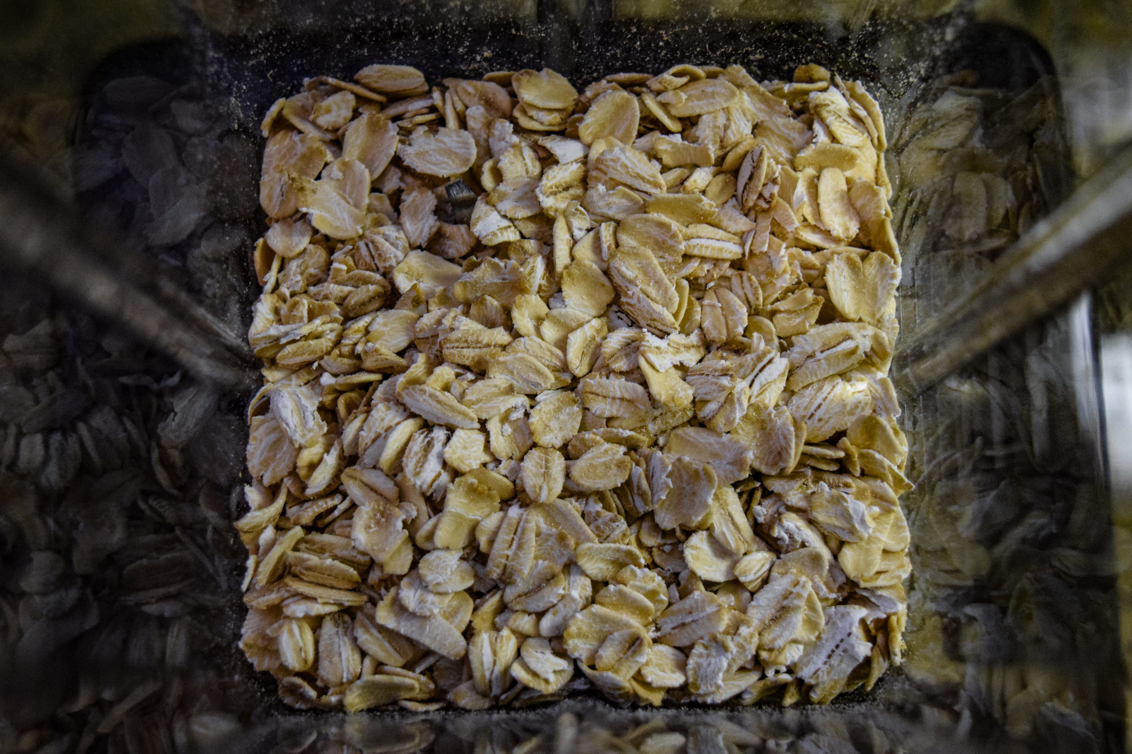 Oats in Vitamix dry grains container from above