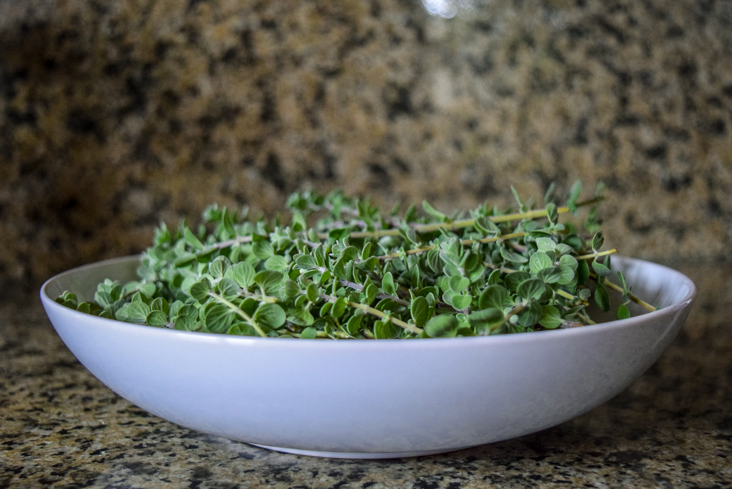 Homegrown freshly-picked marjoram herb for Vegan Marjoram Pea Pesto from side